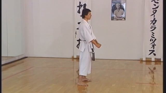 Shotokan - Bassai Sho смотреть онлайн