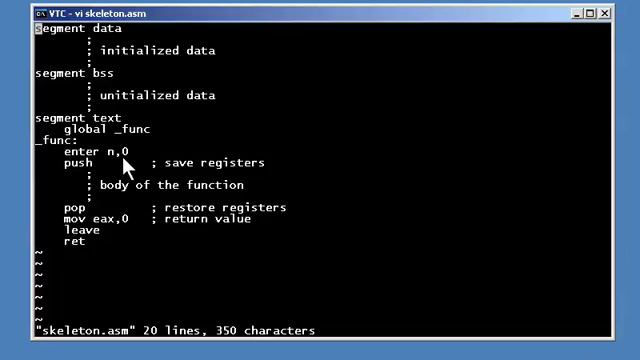 ASM  Layout Of A Function PART 21