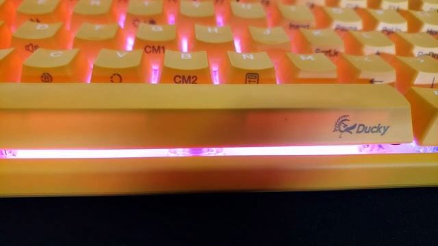 Ducky One 3 Mini Review - Best Compact Keyboard смотреть онлайн