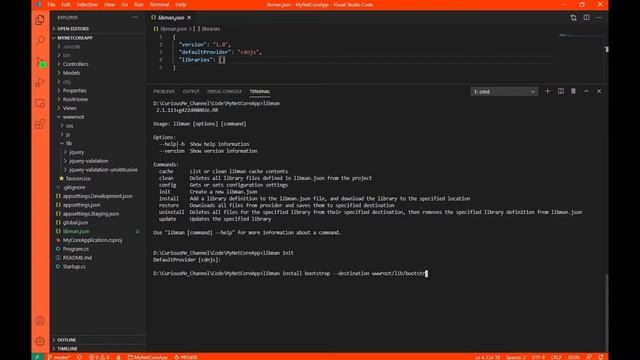 Installing Backend and Frontend packages/libraries in asp net core смотреть онлайн