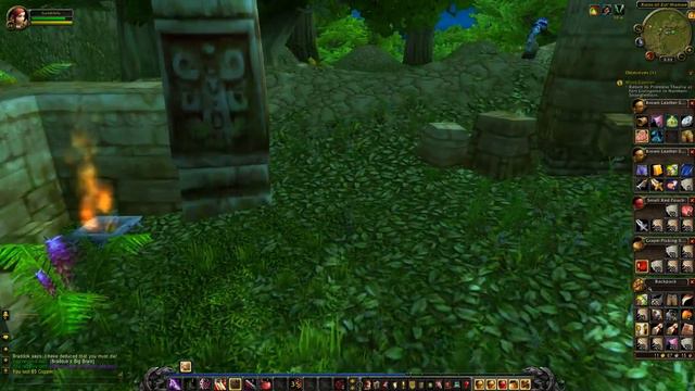 Parrot Cage (Hyacinth Macaw) Drop - Rare Pet WoW смотреть онлайн