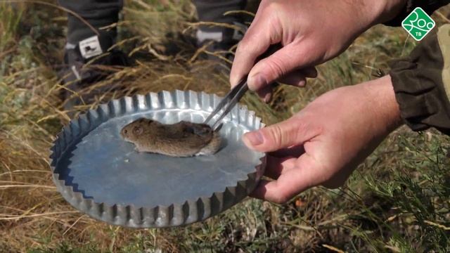 Заповедник 