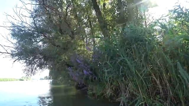 Небольшой сплав на вёслах по реке Турунчук - Днестр. Провожаем лето. 29\30. 08.2021. смотреть онлайн
