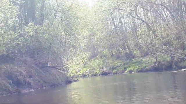 Майские 2019 рр.Сережа-Кунья-Ловать(1) смотреть онлайн