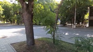 Ессентуки Кавказ Ессентукский военный санаторий