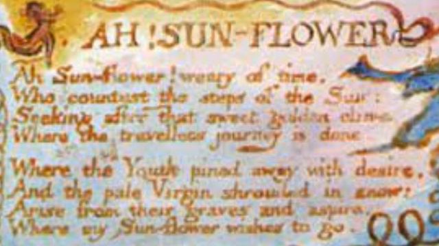 ED SANDERS - "Ah! Sun-flower" смотреть онлайн