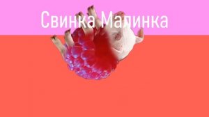 мышка сосиска (все версии подряд, 2021)