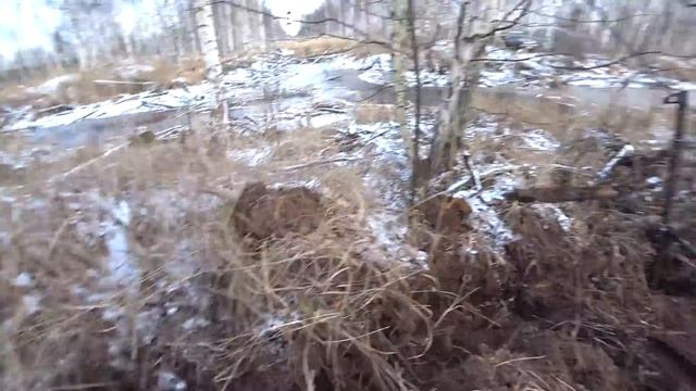 Бобры помогли накопать 600 кг в первый день зимы! смотреть онлайн