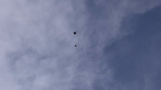 голуби в Кущёвском небе смотреть онлайн