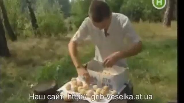 Гриб Веселка. Лечит ! смотреть онлайн