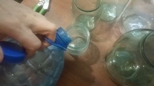 Ива как природный укоренитель. Приготовьте сами в домашних условиях