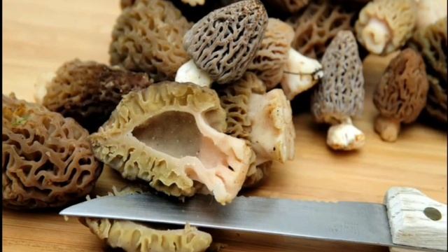 Интересный факт: "Сморчки" смотреть онлайн