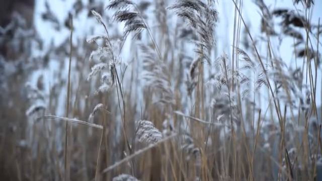 Вопрос-ответная тайна