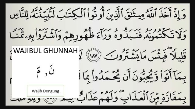 LANCAR BACA AL-QURAN DENGAN TEKNIK BACA HUKUM SURAH ALI IMRAN AYAT 187-190 смотреть онлайн
