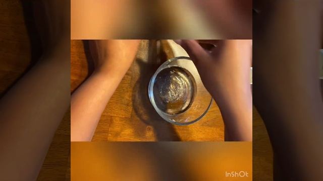 How to treat Fungal Infection, Ringworm and Excessive Dog Dandruff at home! DIY Anti-Fungal Oil смотреть онлайн