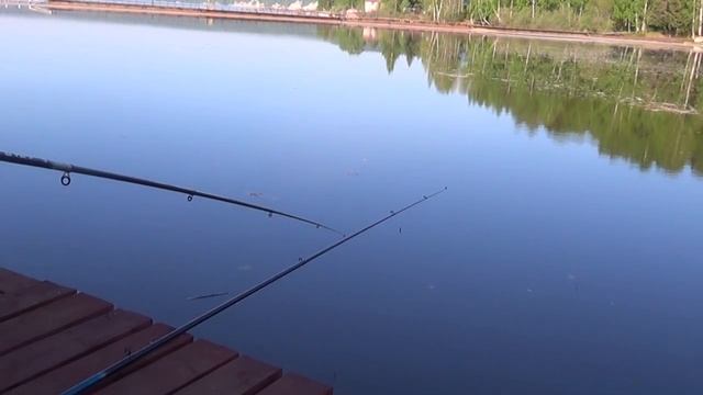 Чусовая река. Прекрасная погода. Клёв умеренный. Клевало вчера , лещ, карась , ёрш, окунь. смотреть онлайн