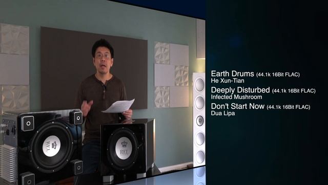 REL T9x Subwoofer, Most Musical Subwoofer Money Can Buy!