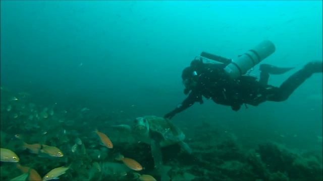 Scuba Diving........ The Proteus смотреть онлайн
