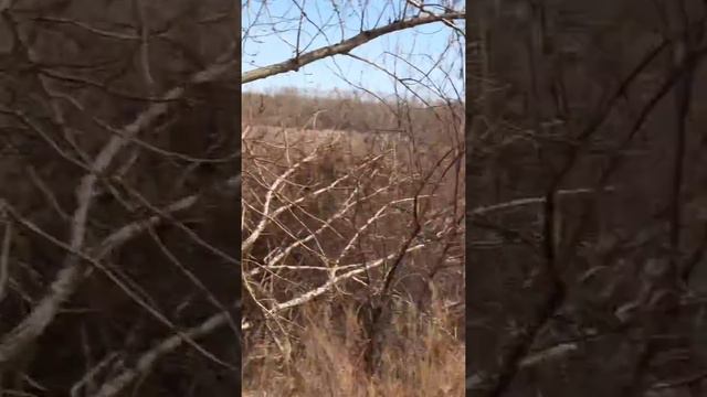 Родной край. Велосипедная прогулка. Онлайнрежим смотреть онлайн