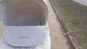 Прогулка с новым ребороном! Прогулка в коляске!