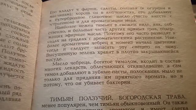 Тимьян. Лечебные и пищевые свойства тимьяна. посев на рассаду смотреть онлайн