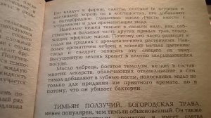 Тимьян. Лечебные и пищевые свойства тимьяна. посев на рассаду