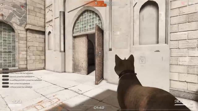 S.K.I.L.L. Special Force 2 - CAT GUN by VK97 смотреть онлайн