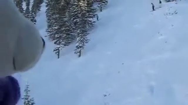 Floppy- groovy snowboarding bear смотреть онлайн