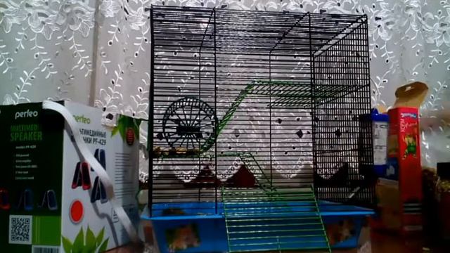 Мне купили хому смотреть онлайн