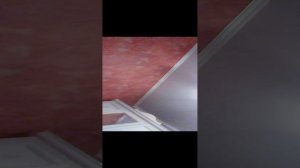 VID_20240901_182236.mp4