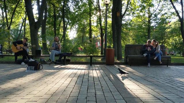 Уличные музыканты, Киев, Парк Шевченко (09.07.2020)