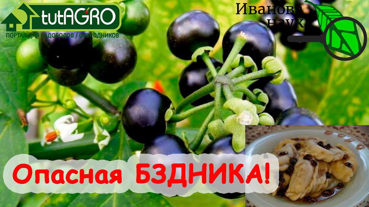 Иван Русских - человек, в следах которого растут цветы! И это... ПРАВДА! Но берегитесь этих цветов!