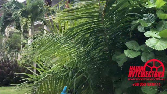 Savoy Seychelles  Resorts & Spa 5,  Beau Vallon,  Mahe, Seychelles. Сейшелы,  о. Маэ