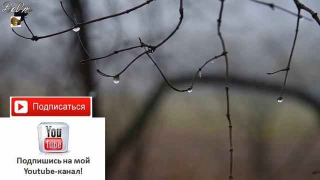♫ НА СЕРДЦЕ БОЛЬ,В ДУШЕ ПЕЧАЛЬ !!! КОГДА ГРУСТИТ ПРИРОДА !!!.mp4 смотреть онлайн
