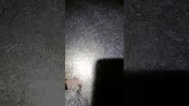 Утепление пола в срубе смотреть онлайн