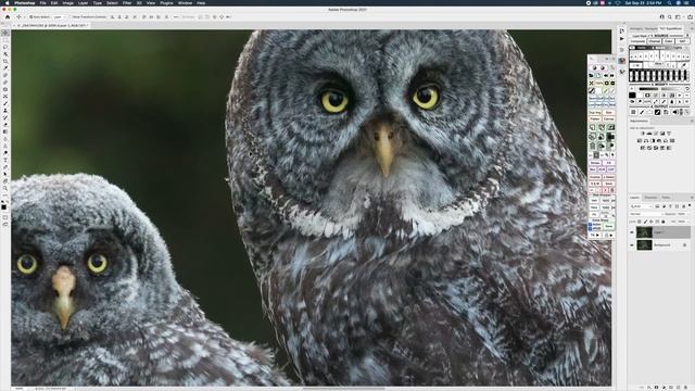 MUST WATCH DENOISE METHOD  |  Topaz Denoise AI VS. DXO Pure Raw