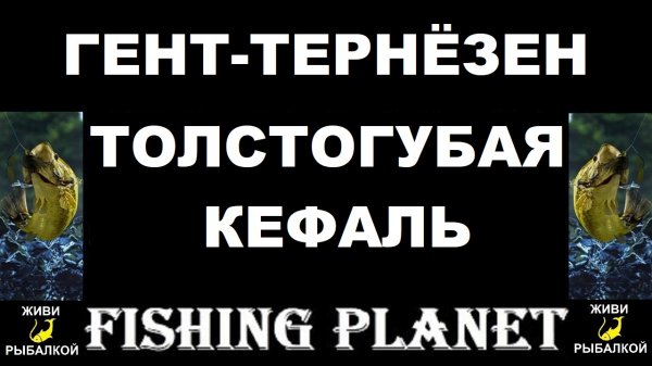 Толстогубая кефаль на канале Гент-тернезен в игре Fishing Planet