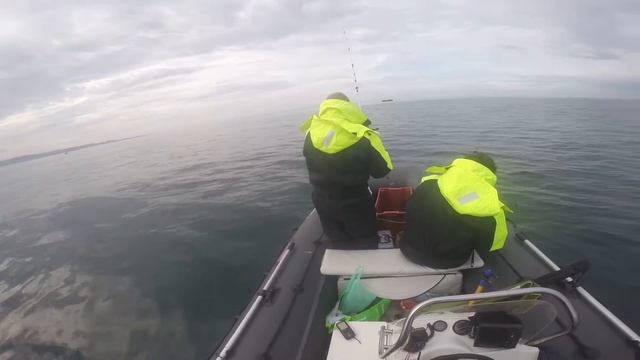 Пикша треска и хорошая погода Баренцево море смотреть онлайн