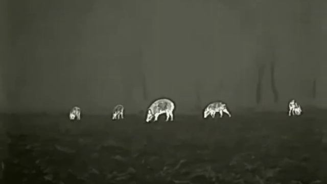 Finder FL35R смотреть онлайн