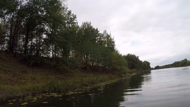 КЛЁВО БЫЛО ВЧЕРА (р. Мокша Мордовия) смотреть онлайн