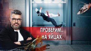 Проверим.. на яйцах| Знаете ли вы, что? (11.12.2021).