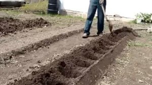 Садим картофель по Митлайдеру 2-х рядная посадка