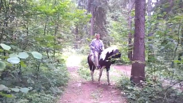 Приглашаем на Позитивный тренинг! Ждем всех желающих! смотреть онлайн