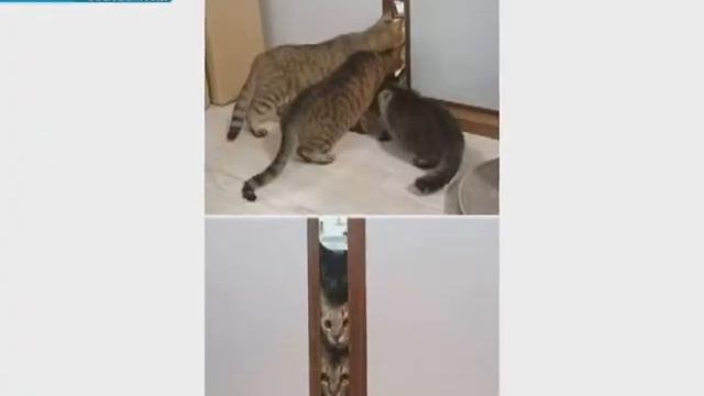 а в это время 12 07 смотреть онлайн