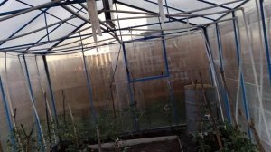 Солнечный вегетарий. 5 лет использования.