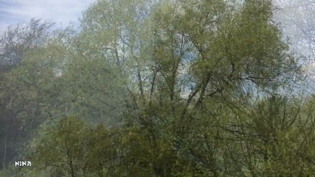 Вдохновляясь Природой Весны под Великолепную Мелодию, Затрагивающую Тонкие Струны души! смотреть онлайн