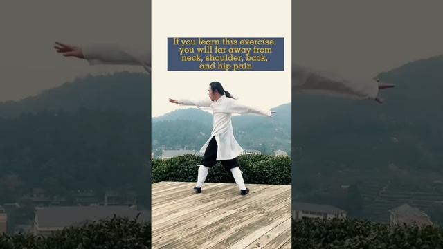Wudang Tai Chi - Wudang Zidong