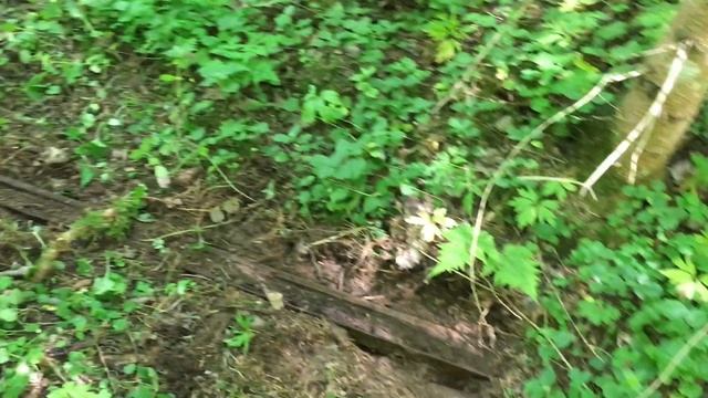 Будние дни металлиста