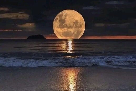 Я так раз сто в лотерею играла