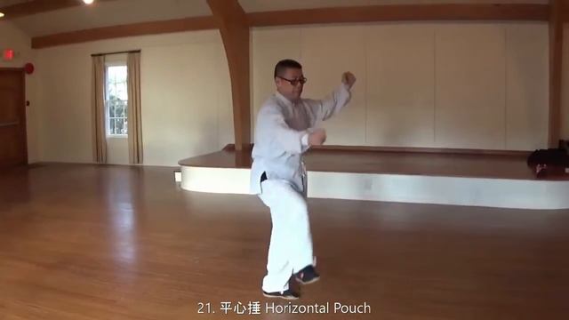 21/24- Chen Style 24 Forms Xinyi Hun Yuan Tai Chi смотреть онлайн